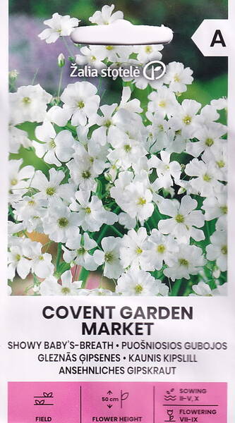 Un mélange de grandes annuelles « Dernière minute » (« pour les paresseux »)