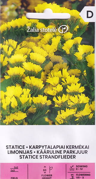 Parkjuur kääruline "Golden Yellow"