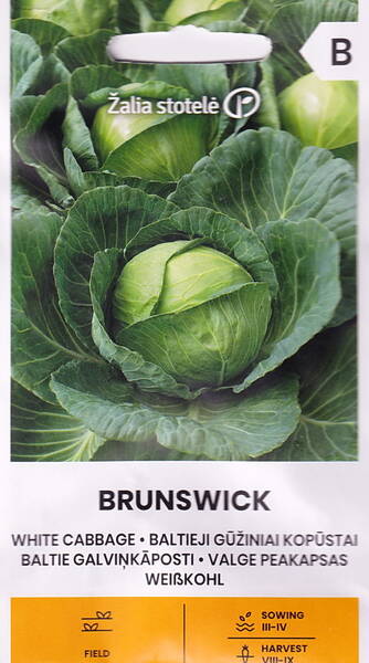 Keräkaali "Brunswick"