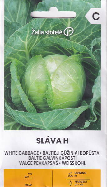 Chou blanc "Slava" F1