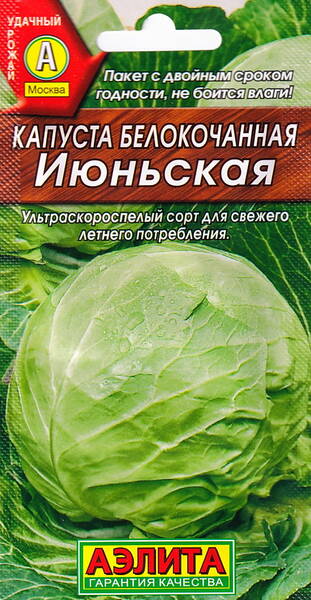 Chou blanc "Ijunskaya"