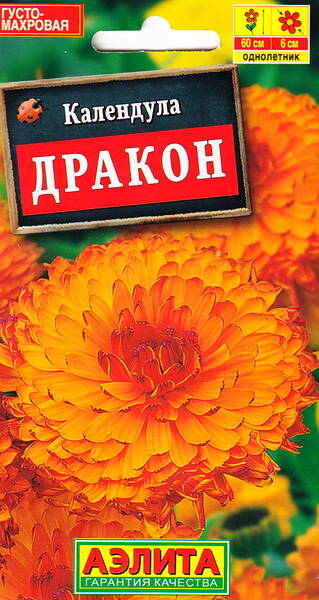 Calendula "Dragon"