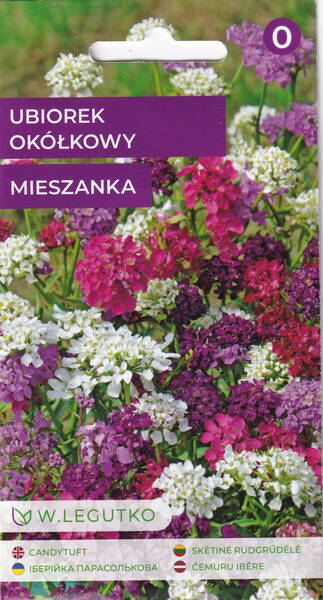 Candytuft mix Candytuft mix