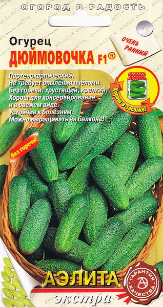 Gurka "Djujmovochka" F1