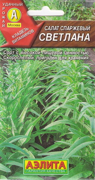 Asparagus lettuce "Svetlana"