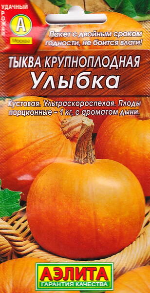 Pumpkin "Ulybka"