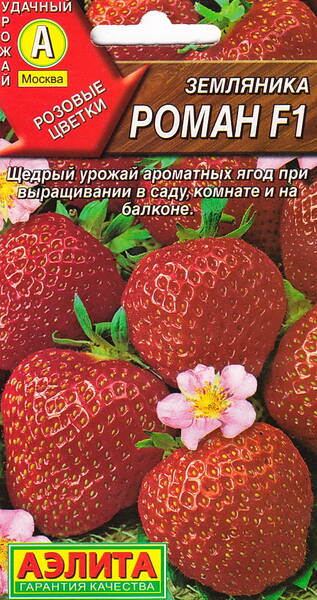 Fraisier "Roman" F1 Fraisier "Roman" F1