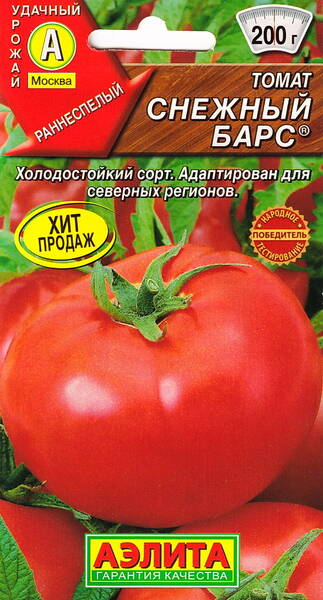 Tomate "Snezhny Bars" Tomate "Snezhny Bars"