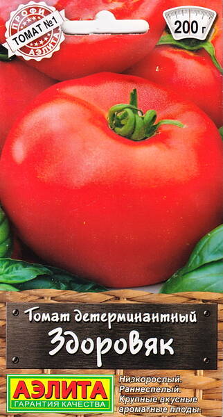 Tomat "Zdorovjak" Tomat "Zdorovjak"