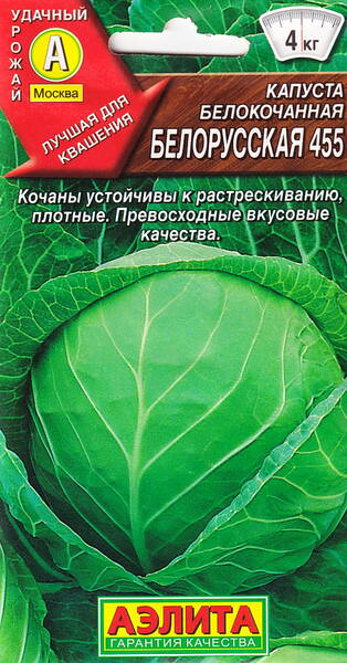 Капуста белокочанная "Белорусская 455"