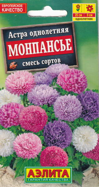 Aedaster "Monpansje" mix