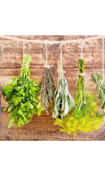 Spice herbs & Medical plants