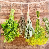 Spice herbs & Medical plants