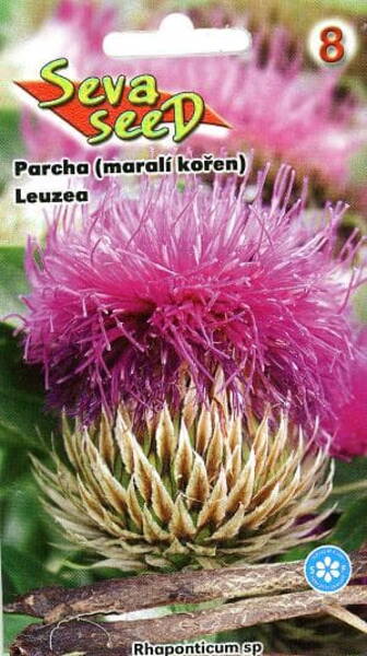 Harilik maralijuur Leuzea carthamoides