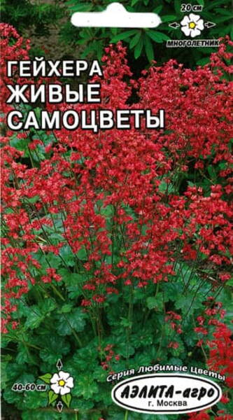 Verev helmikpööris "Bressingham Hybrids" Heuchera sanguinea