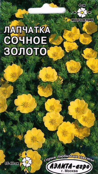 Blodrot (tormentilla)