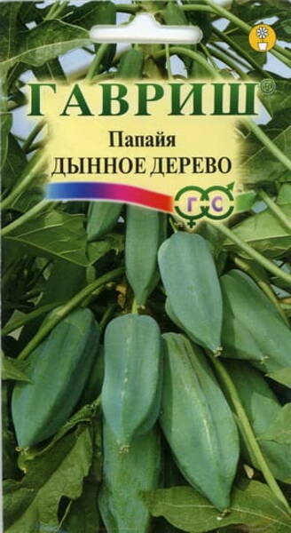 Harilik papaia Carica papaya