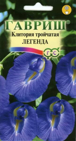 Sinine häbeuba "Legend" Clitoria ternatea