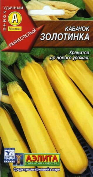 Courgette "Zolotinka"