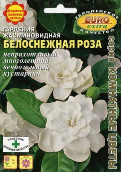 Jasmiingardeenia "Snow Rose" Gardenia jasminoides