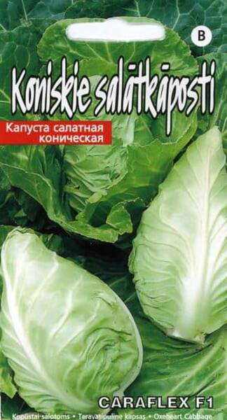 Oxeheart Cabbage "Caraflex" F1