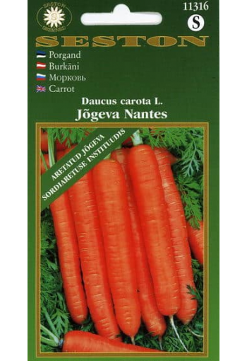 Carrot "Jõgeva Nantes"