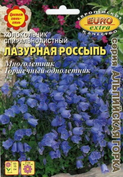 Pisikellukas "Blue" Campanula pusilla