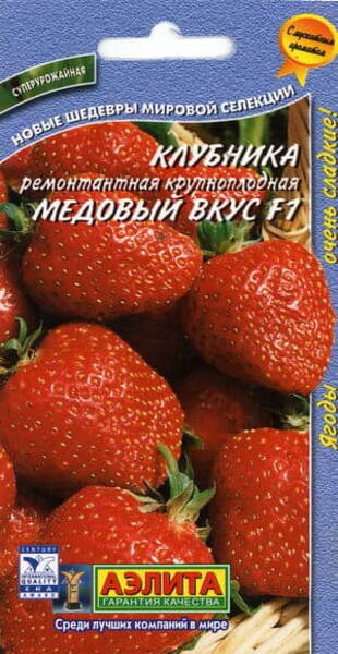 Fresa de jardín "Medovy vkus" F1