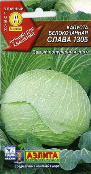 Chou blanc "Slava 1305"