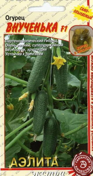 Cucumber "Vnuchenka" F1