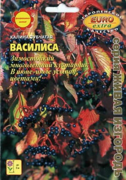 Lodjapuu Hambuline "Vasilisa" Viburnum dentatum