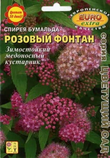 Madal enelas "Pink Fountain" Spiraea x bumalda