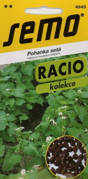 Harilik tatar "Zita" Fagopyrum esculentum Moench.