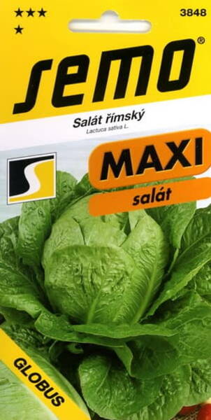 Rooma salat "Globus"