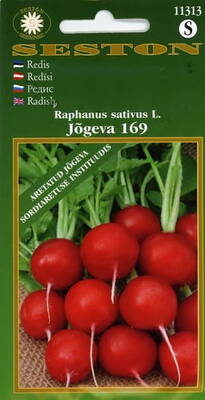 Redis "Jõgeva 169"