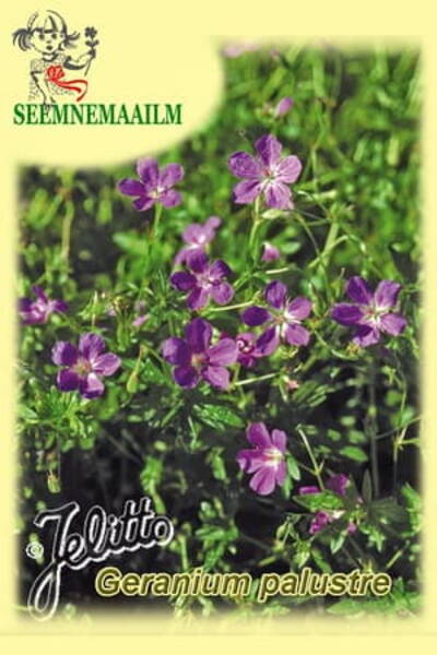 Герань болотная (Журавельник болотный) Geranium palustre