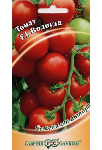 Tomaatti "Vologda" F1