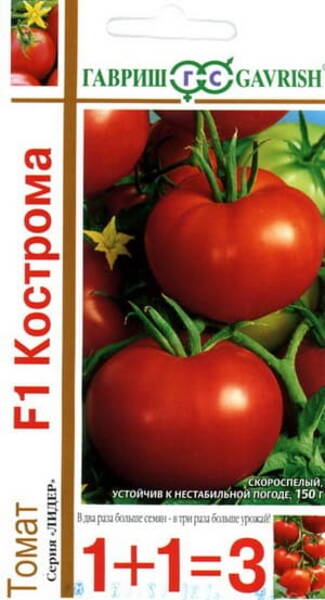 Tomato "Kostroma" F1