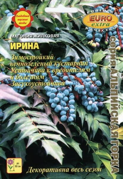 Rood-mahoonia "Irina" Mahonia nervosa