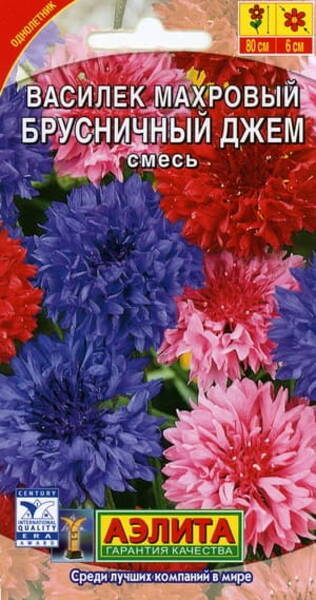 Blågubbar "Brusnichny Jam" (mix)