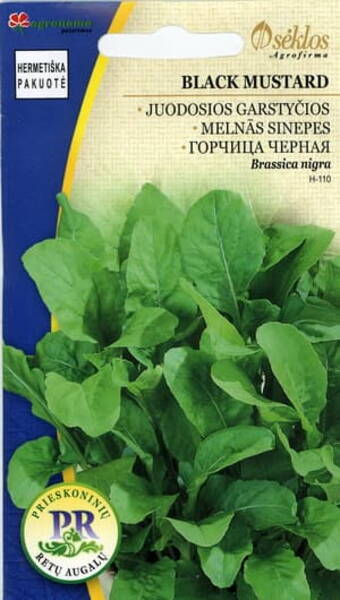 Горчица чёрная (горчица французская, горчица настоящая, горчица русская) Sinapis nigra