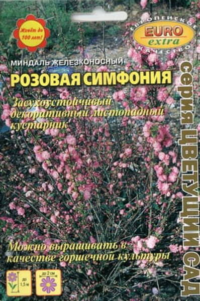 Näärmeline kirsipuu "Rose Symphony" Prunus glandulosa