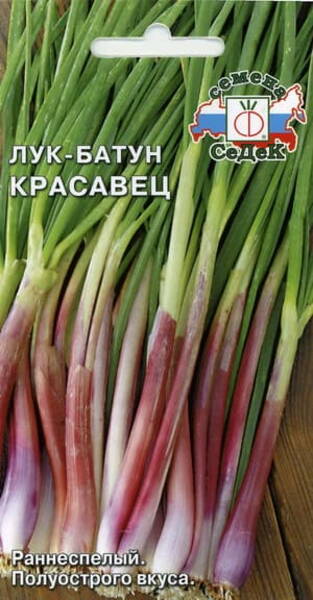 Лук-батун "Красавец"