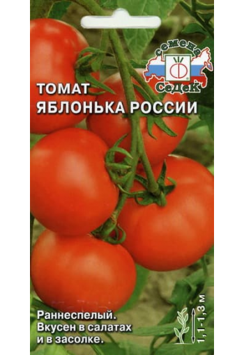 Tomat "Jablonka Rossii"