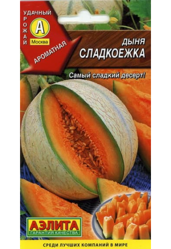 Melon "Sladkoezhka" 