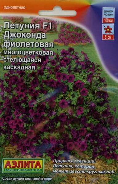 Petunia "Gioconda Violet" F1 Petunia "Gioconda Violet" F1