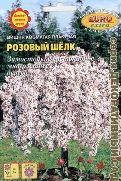 Longus kirsipuu "Rozovy Shelk" Cerasus subhirtela f. pendula