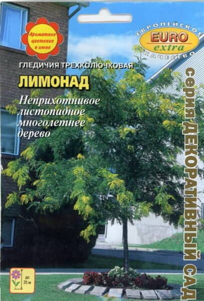 Kolmeastlaline glediitsia "Limonad" Gleditsia triacanthos