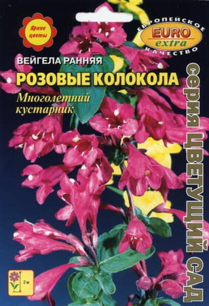 Вейгела ранняя (Weigela praecox)