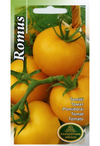 Tomato "Romus"